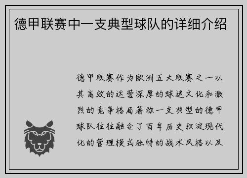 德甲联赛中一支典型球队的详细介绍